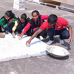 Bari Making