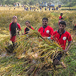 Harvesting