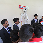 Human Skeleton