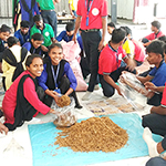Mushroom Cultivation Training