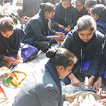 Picnic